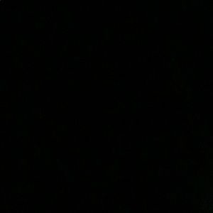 Meet your Posher, Eelaine